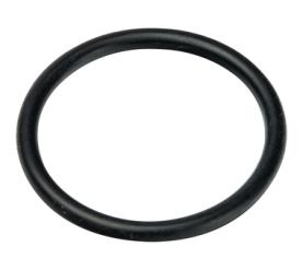 Уплотнительное кольцо (26х3) в комплекте 10 шт. прессовой Multyrama Prandelli 109.80.02.6 в Новосибирске 0