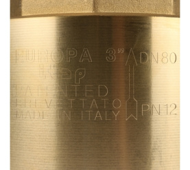 Клапан обратный пружинный муфтовый с металлическим седлом EUROPA 100 3 Itap в Новосибирске 7
